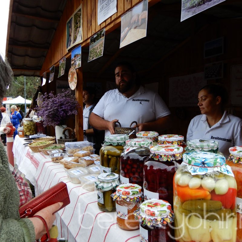 Helyi Értékek Startja 55